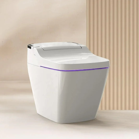 Smart One Piece Integrated Toilet with bidet built-in