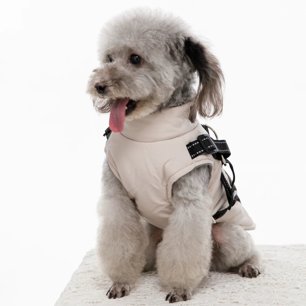 Winter Dog Coat With Harness