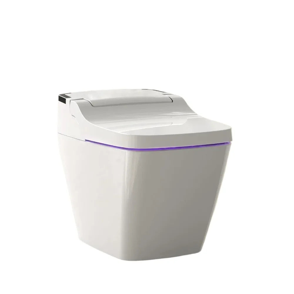 Smart One Piece Integrated Toilet with bidet built-in