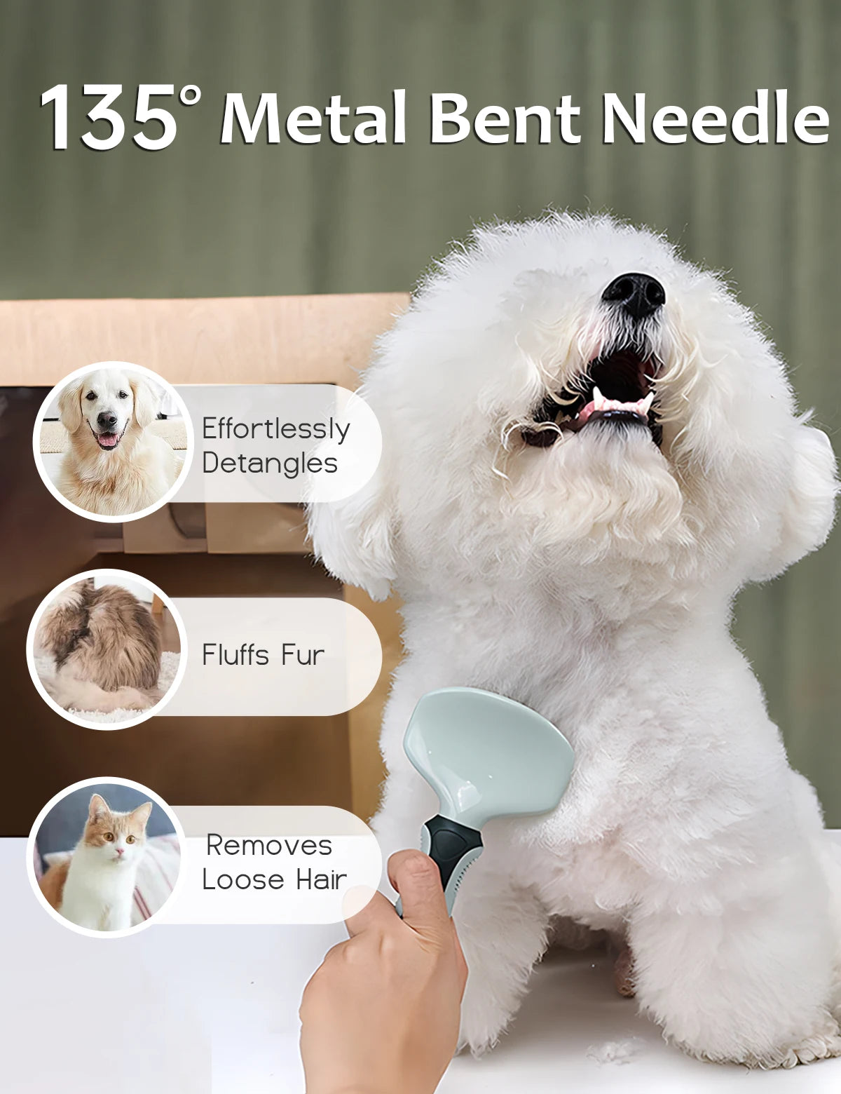 Pet Grooming Tools