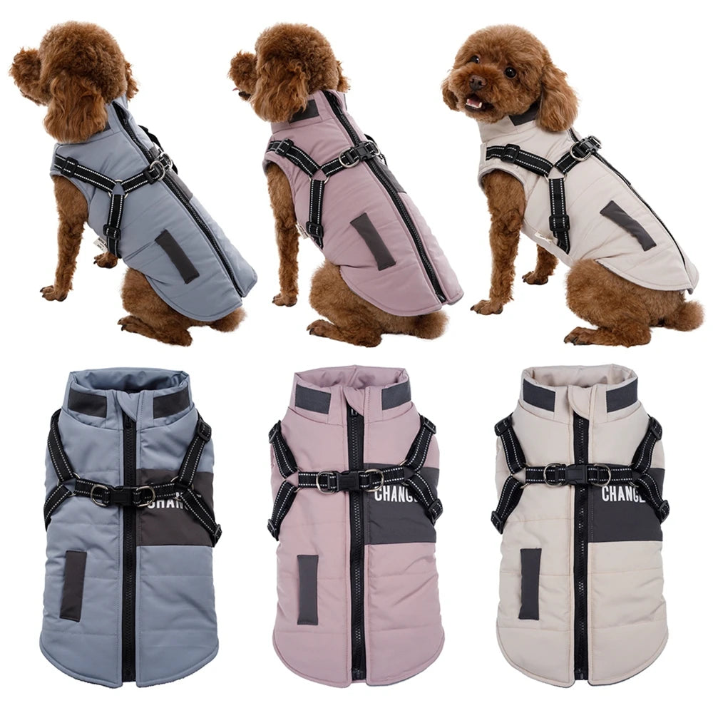 Winter Dog Coat With Harness