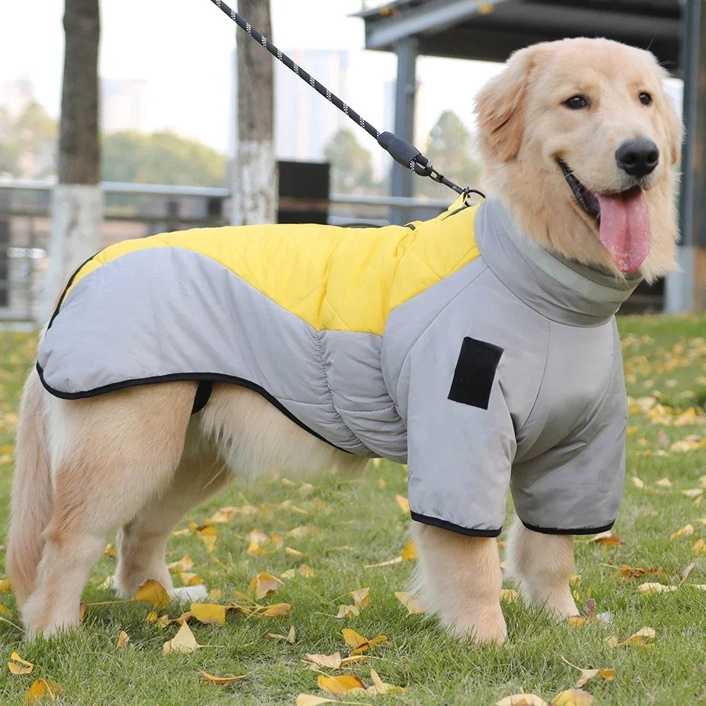 Dog Down Coat