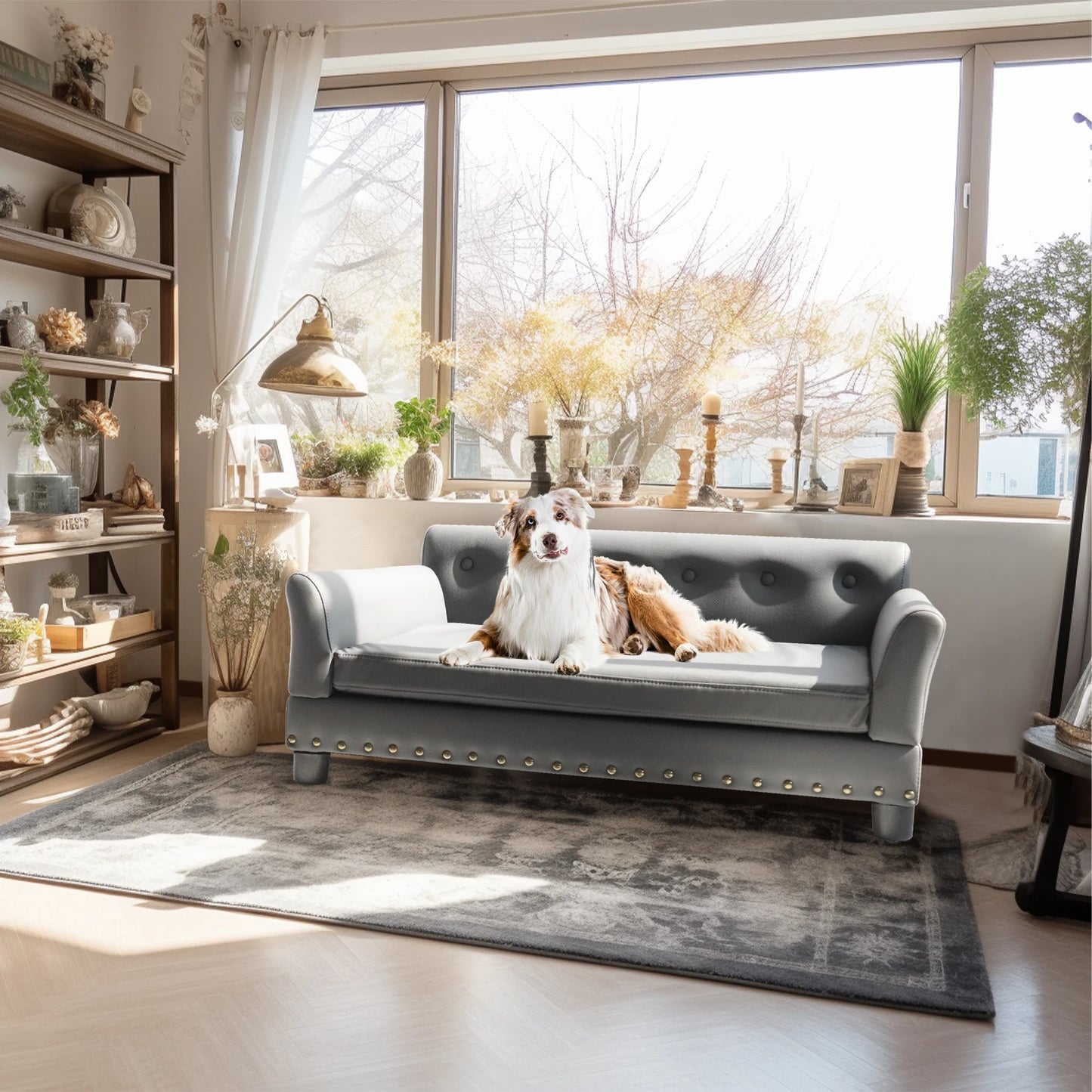 Elevated Dog Bed