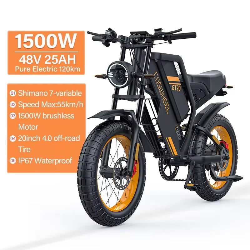 Adult Electric Motorcycle/Mountain Bike