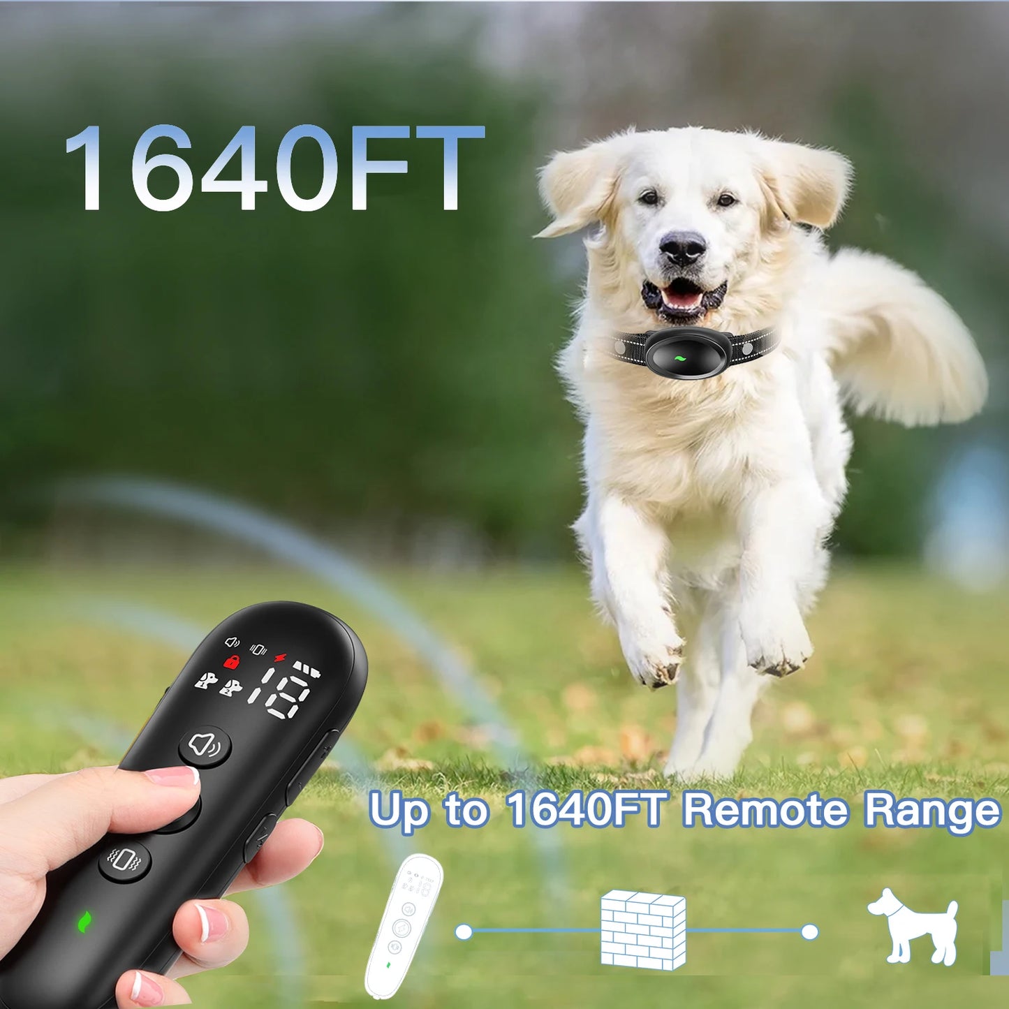 Dog Shock Collar With Remote