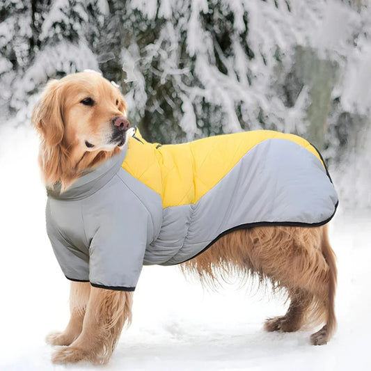 Dog Down Coat