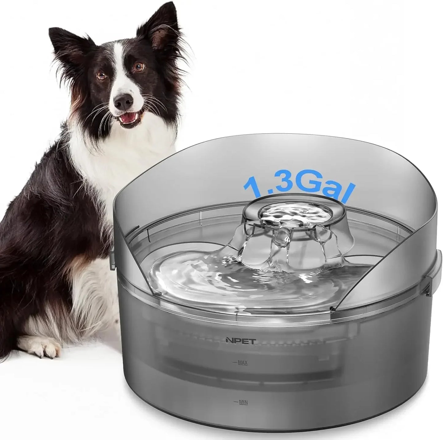 Dog Water Fountain