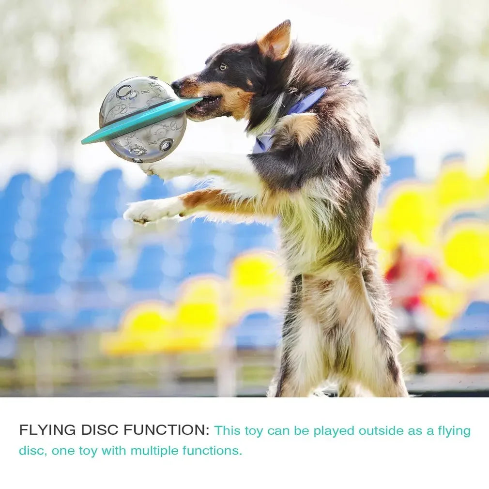 Flying Saucer Dog Game