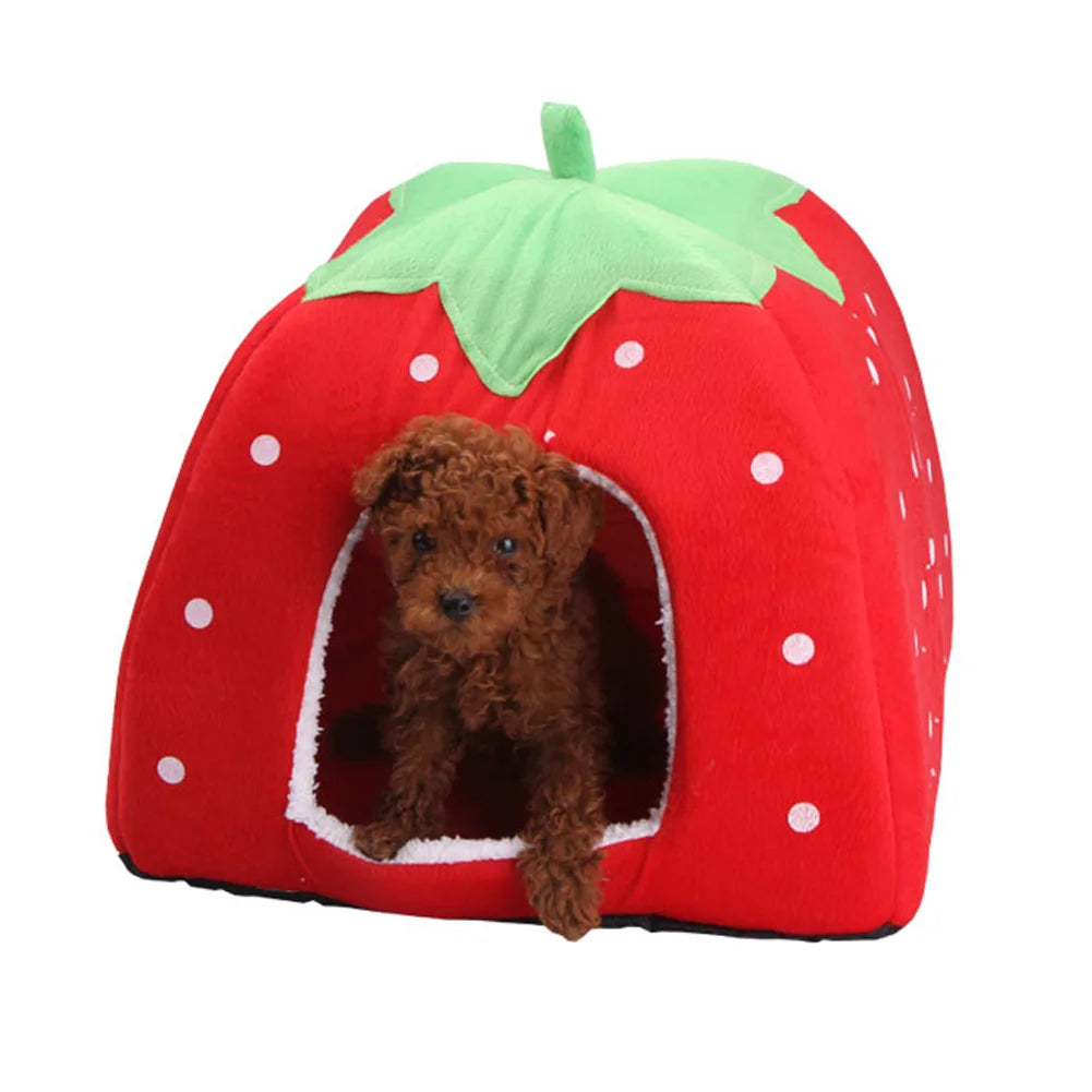 Fashion Kennel for Small Dogs and Cats