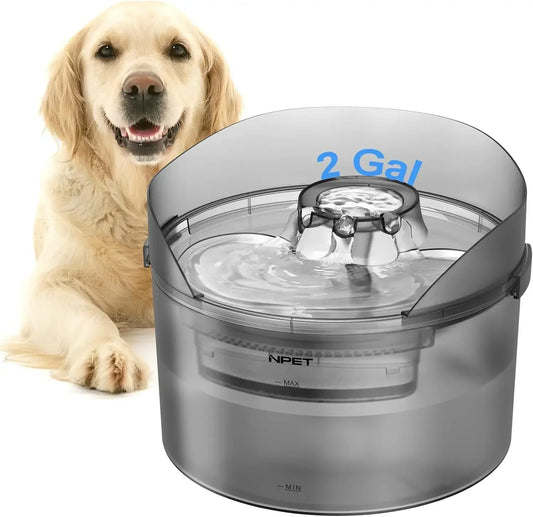 Dog Water Fountain