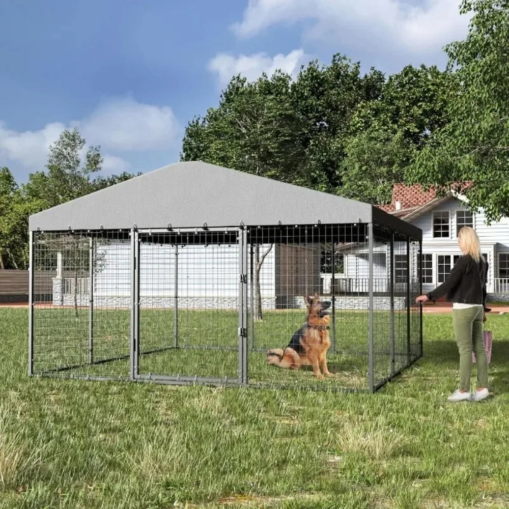 Large Outdoor Dog Kennel with Roof