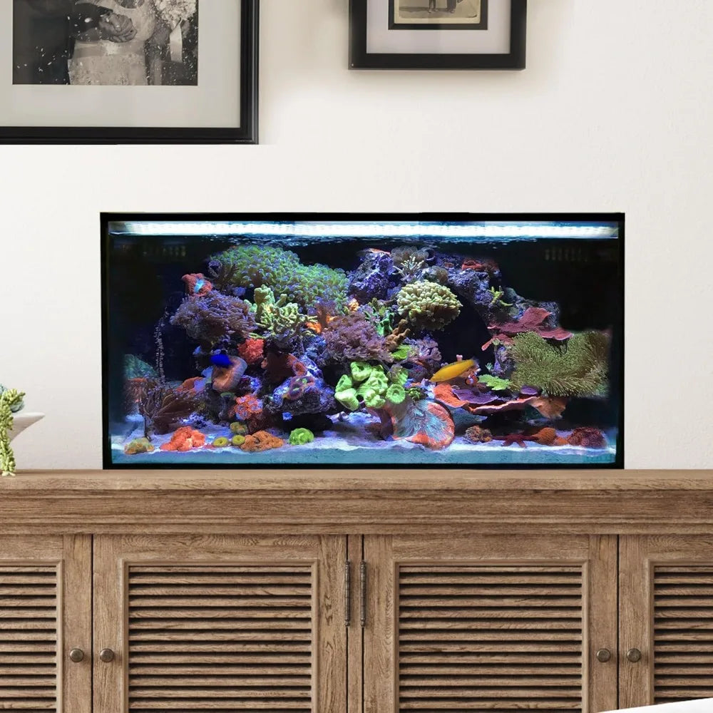 Ocean Entry Kit Aquarium