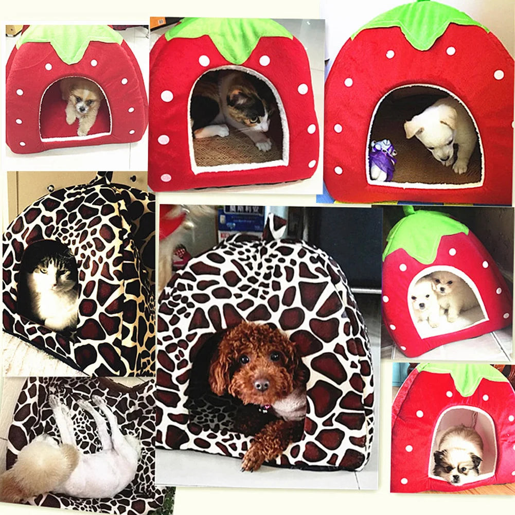 Fashion Kennel for Small Dogs and Cats