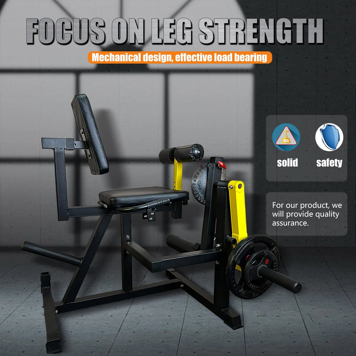 Fitness Equipment Leg Curl Extention Machine