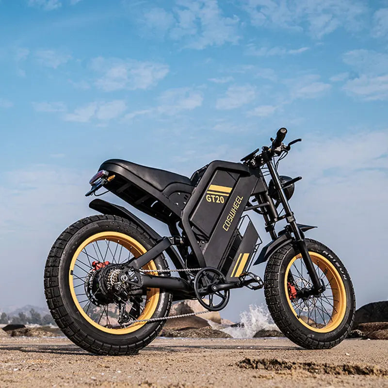 Adult Electric Motorcycle/Mountain Bike