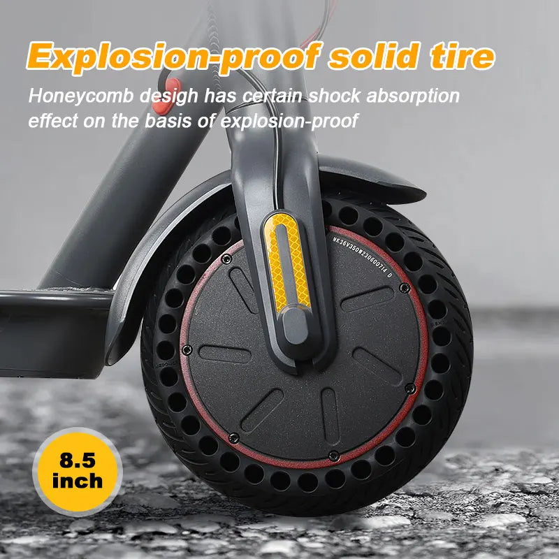 Electric Scooter for Adult