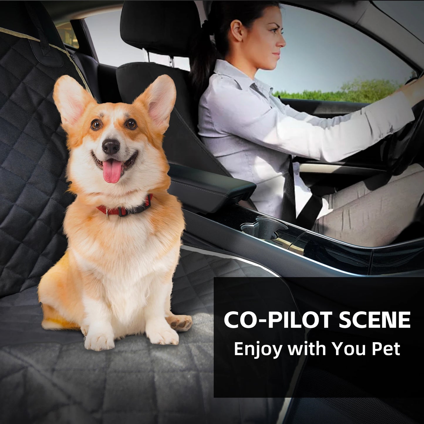 Pet Car Back Seat Protector