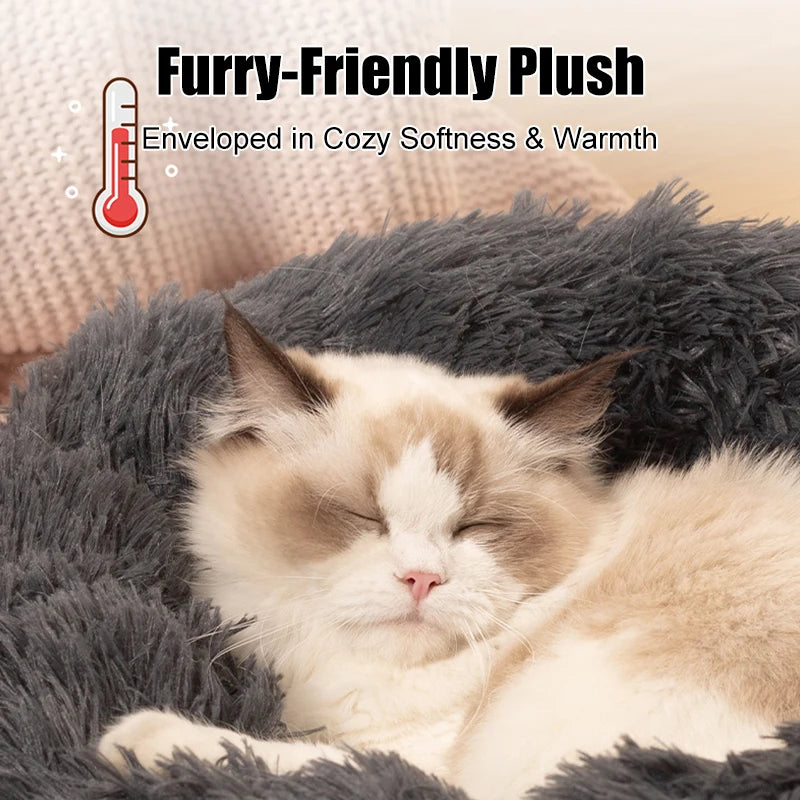 Fluffy Pets Bed