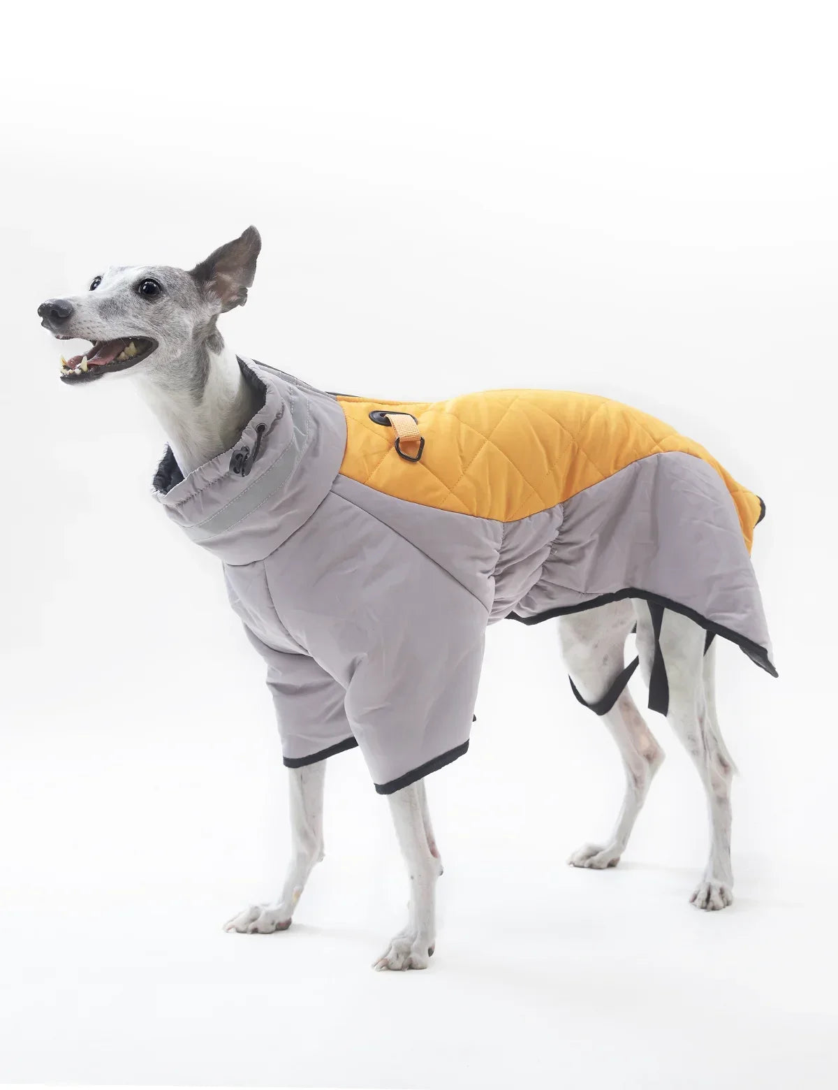 Dog Down Coat