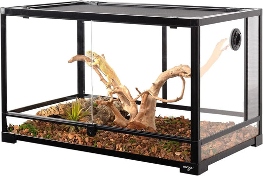 40 Gallon Reptile Tank