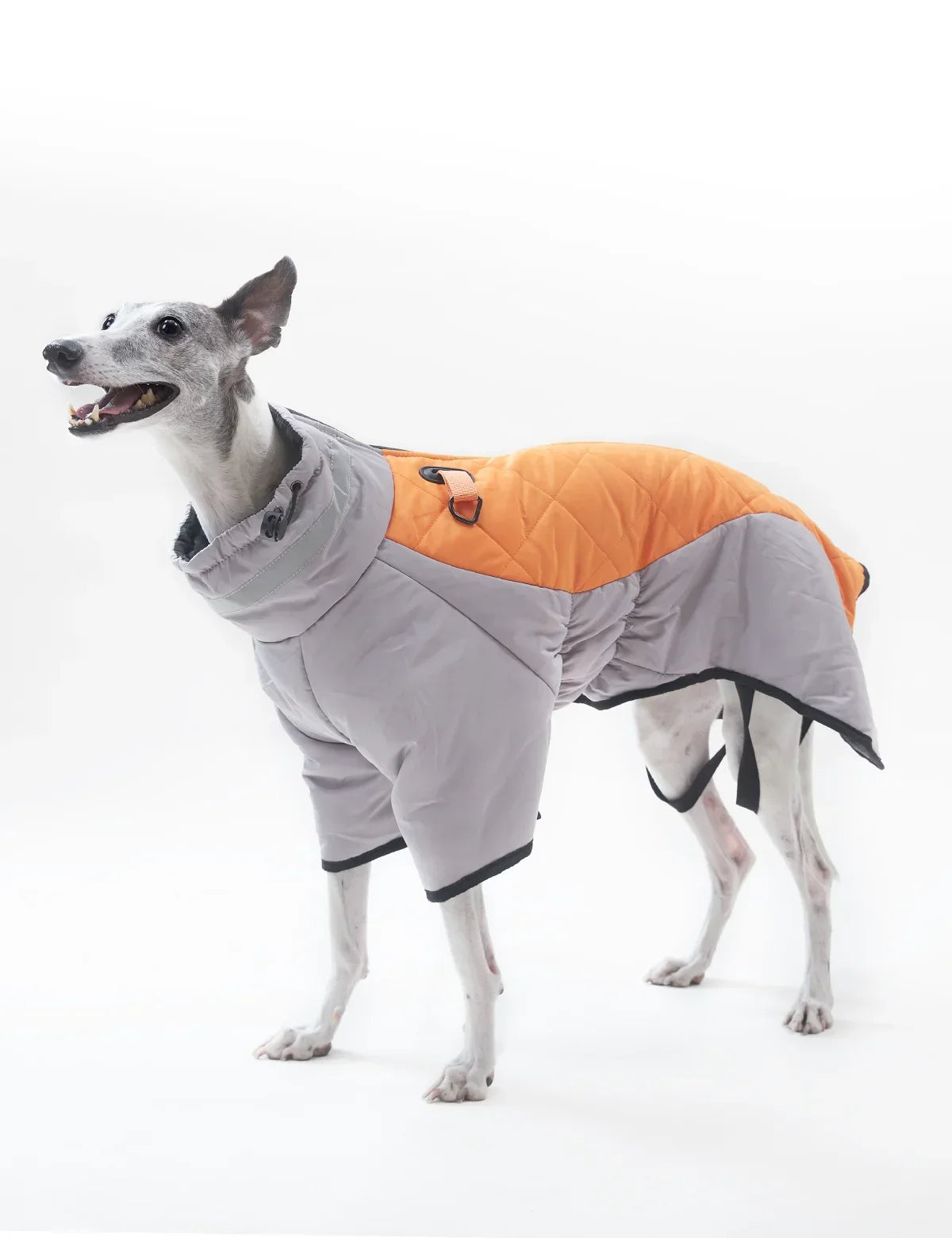 Dog Down Coat