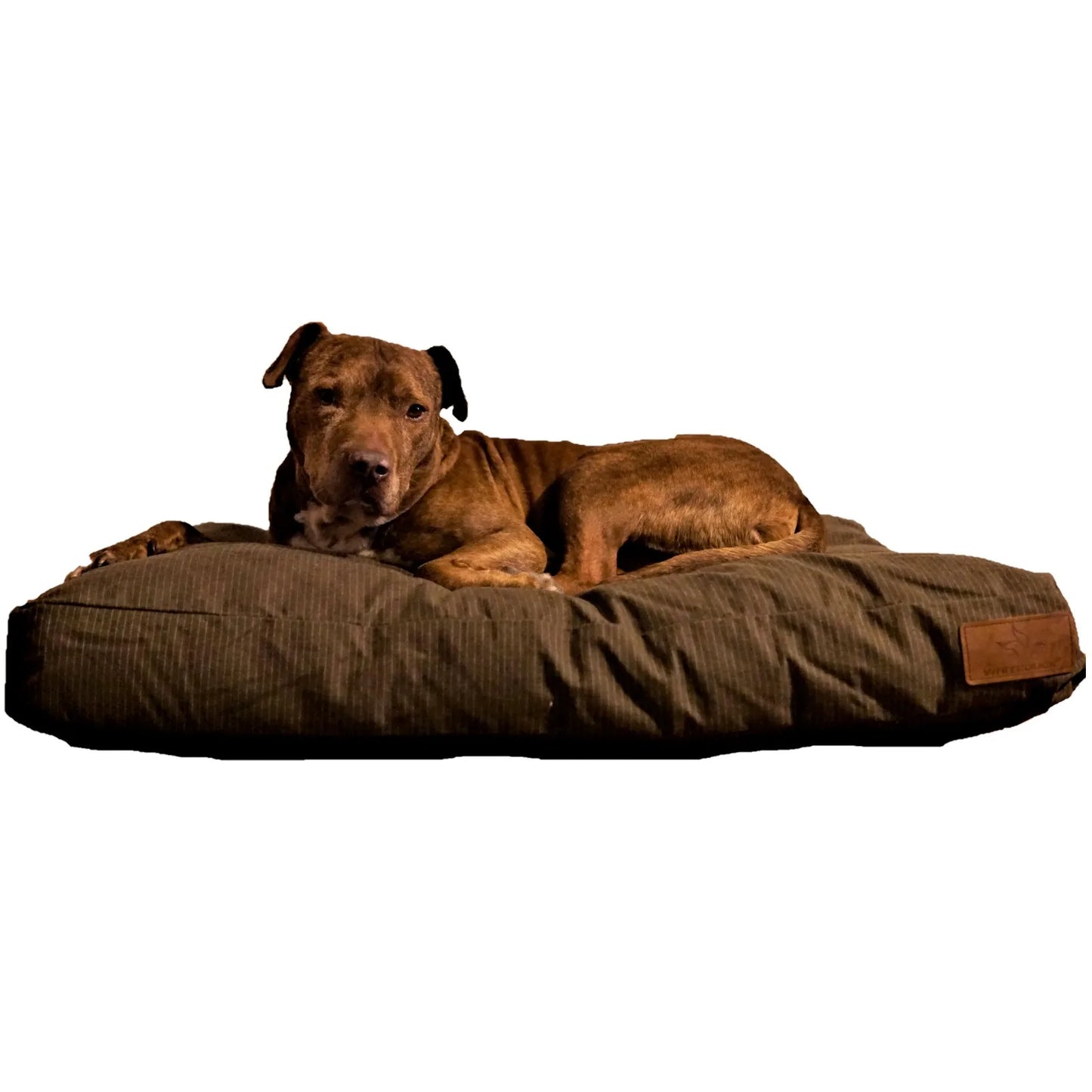 US Orthopedic Pet Beds  | L & XL Pets | Removable & washable cover