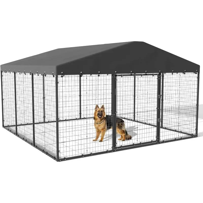 Large Outdoor Dog Kennel with Roof