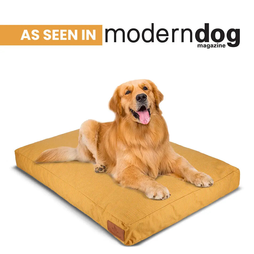 US Orthopedic Pet Beds  | L & XL Pets | Removable & washable cover