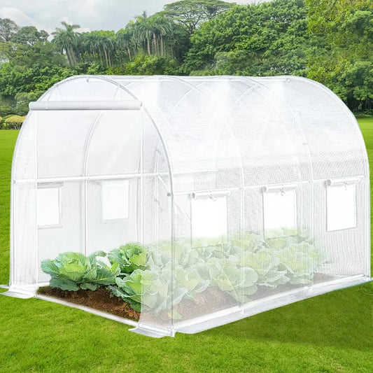 Walk-in Tunnel Greenhouse with Watering System